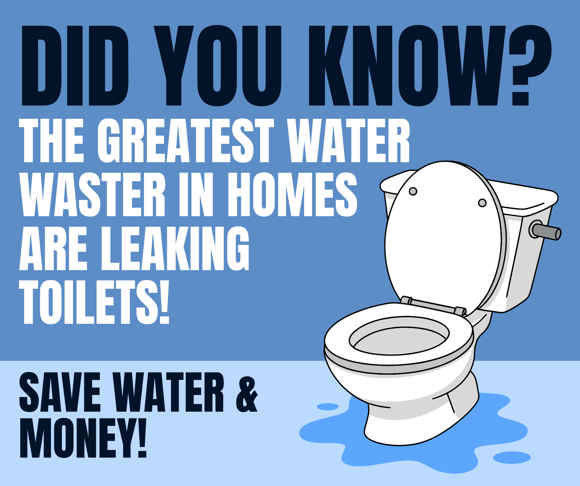 DidYouKnowToilets