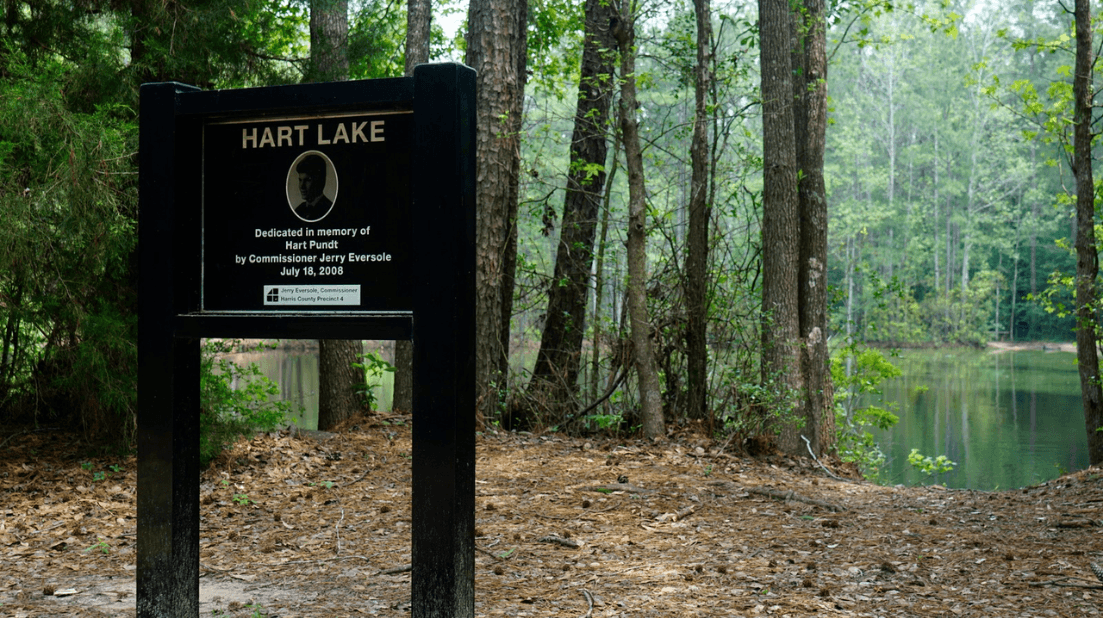 HCMUD82_photos (10).png