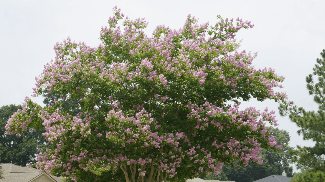 HCMUD82_photos (13).png