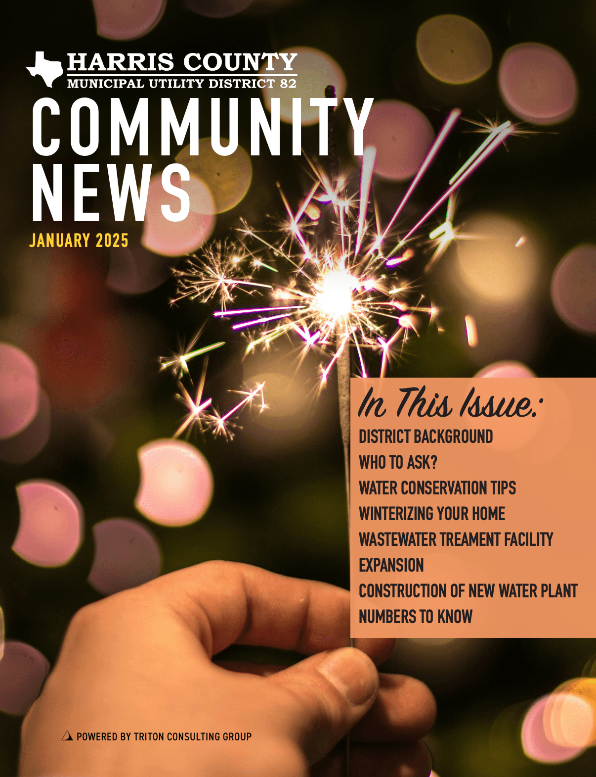 NewsletterCoverJan2025