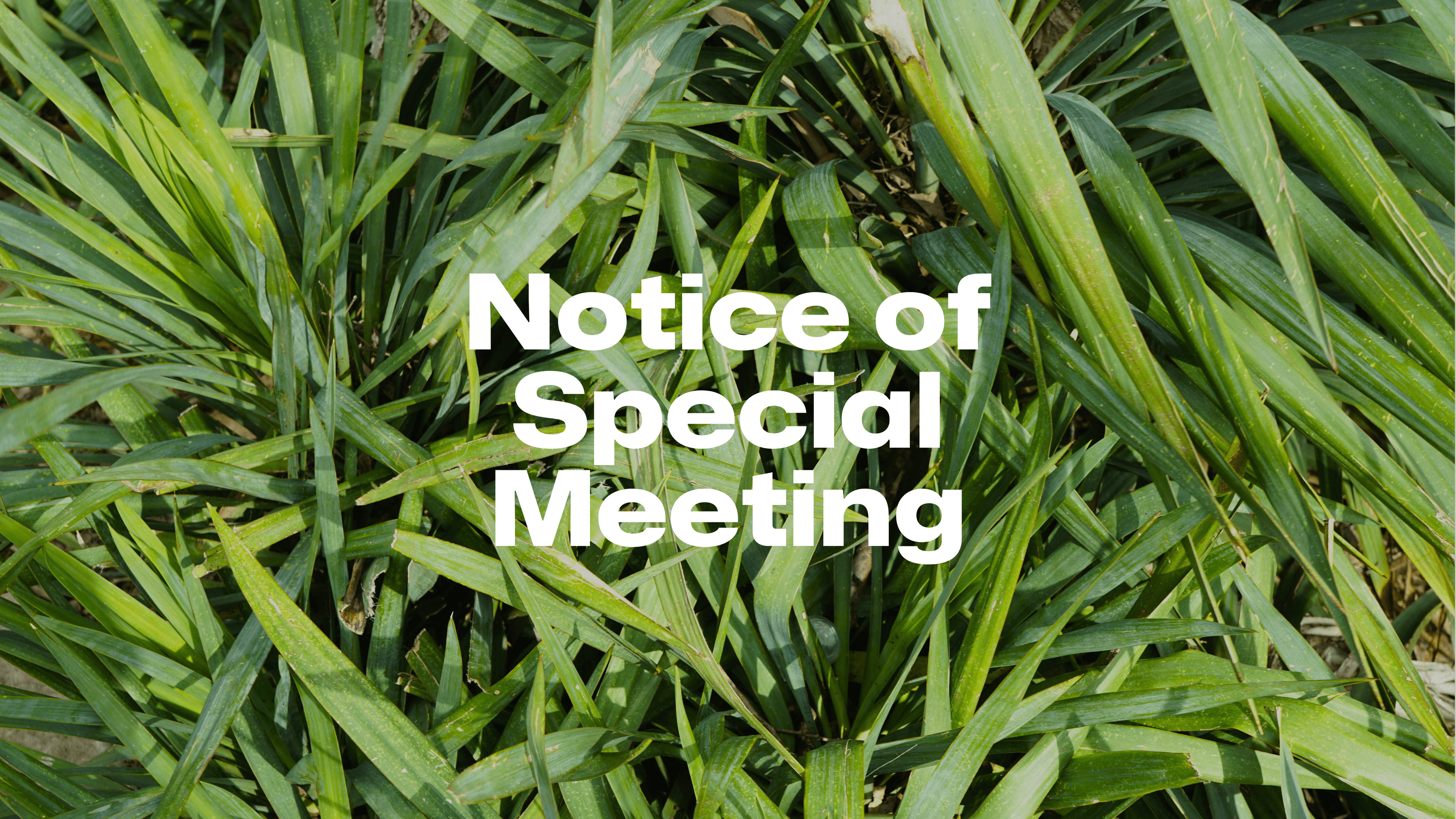 special meeting.png